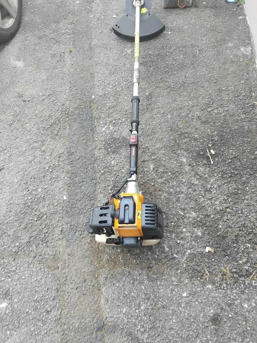 Big grass strummers running well priced - Image 2