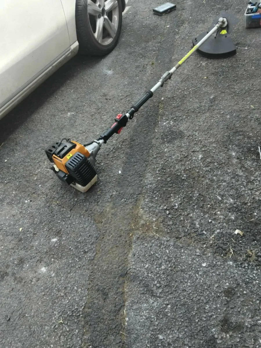 Big grass strummers running well priced - Image 3