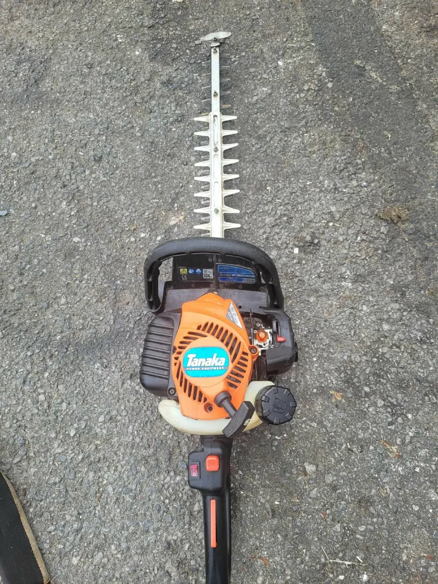 2021 tanaka hedge strummers running well - Image 1