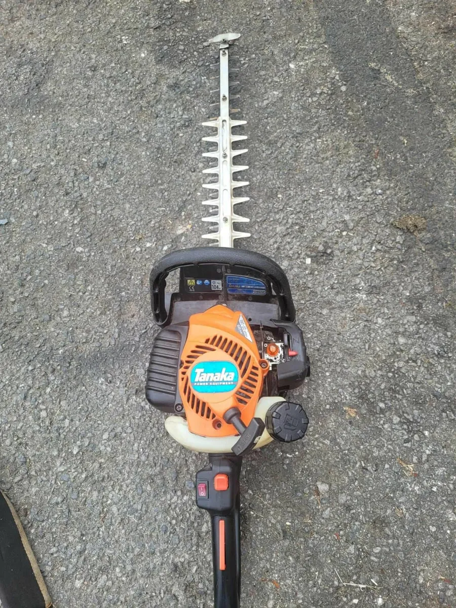 2021 tanaka hedge strummers running well - Image 4