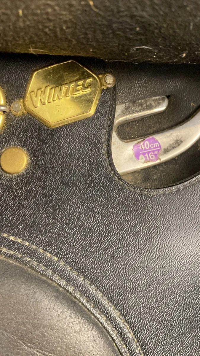 16” Wintec adjustable saddle - Image 3