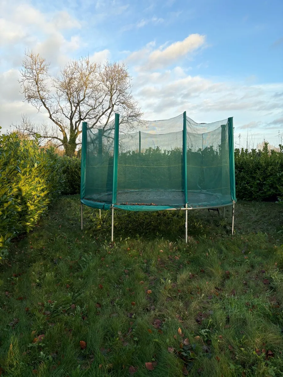 Trampoline - Image 1