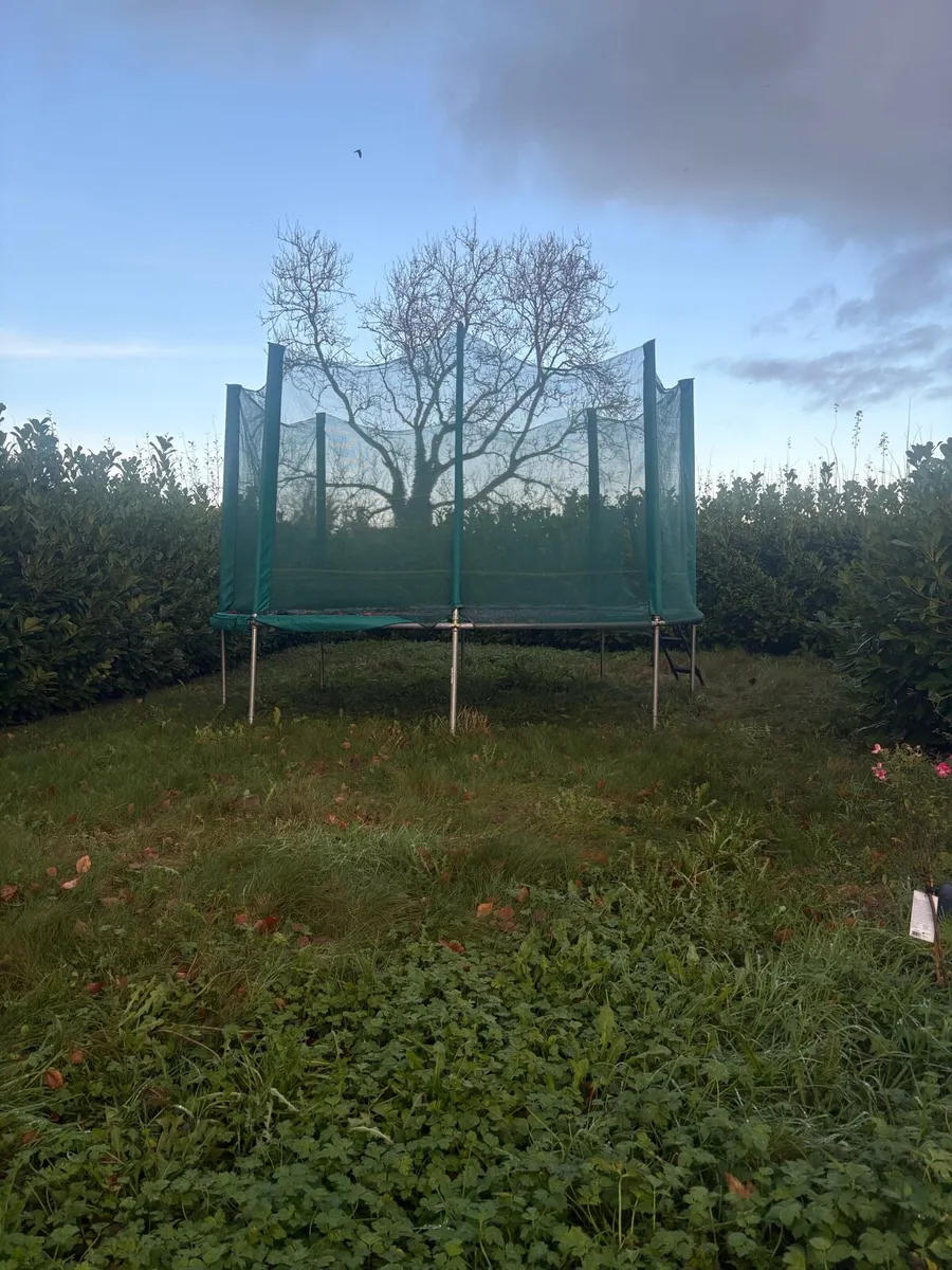 Trampoline - Image 2