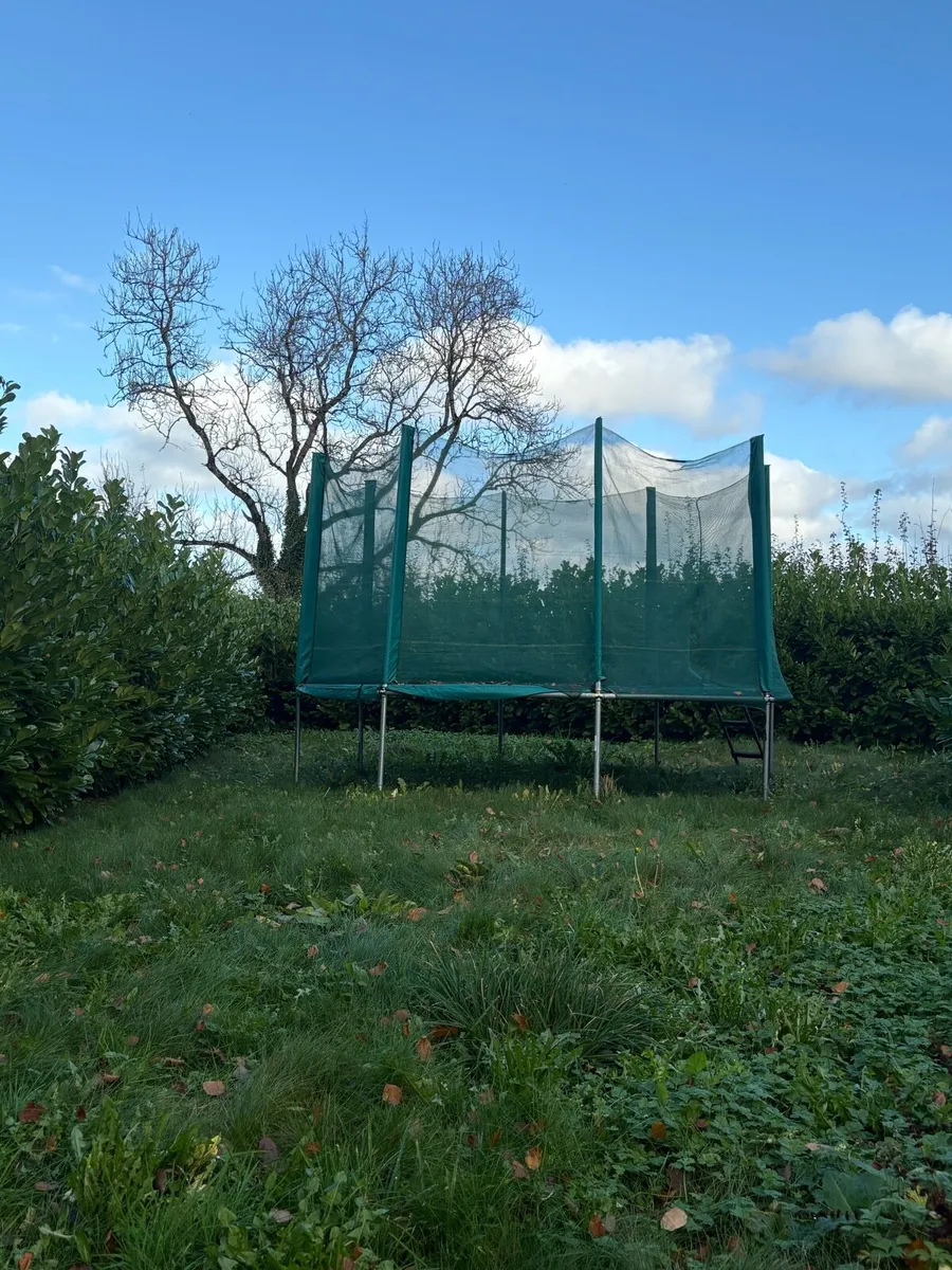 Trampoline - Image 3