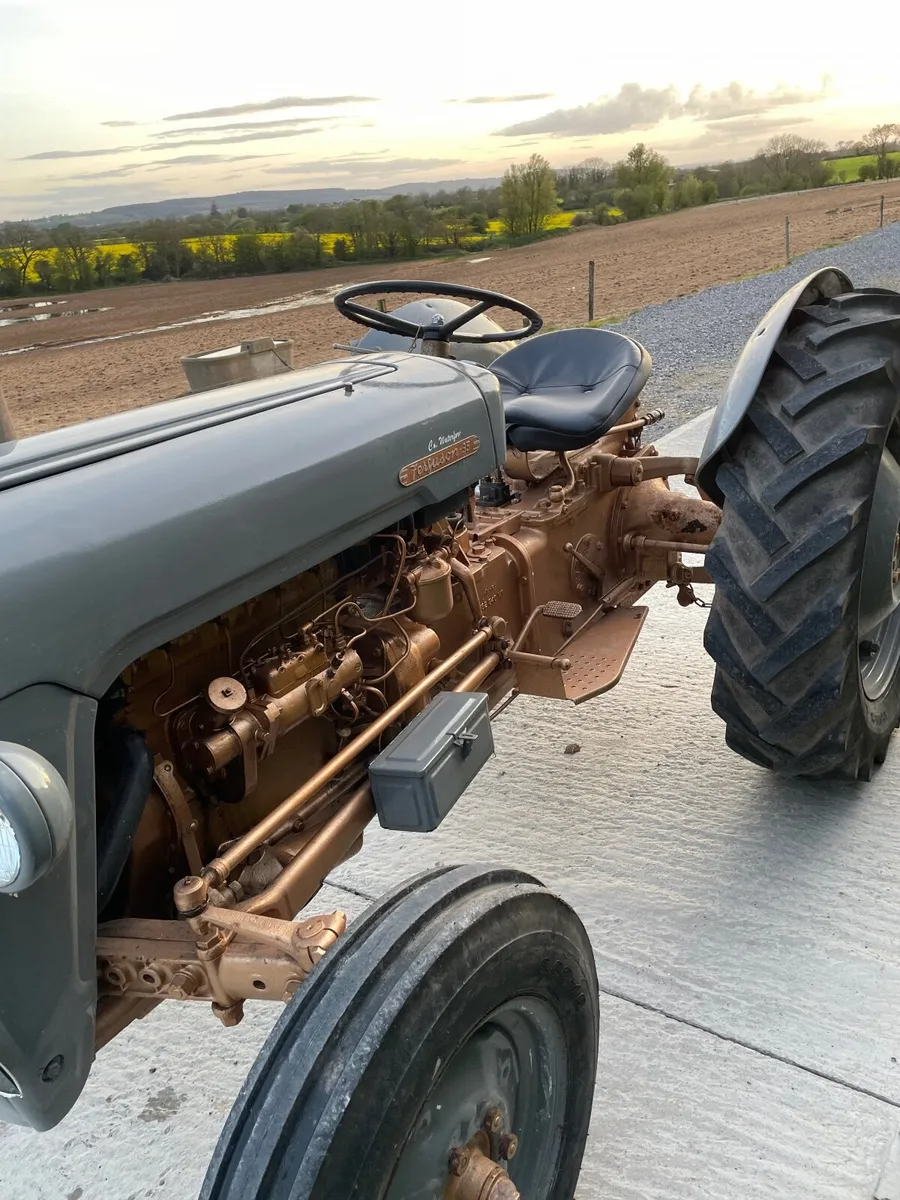 Massey Ferguson Gold Belly 35 - Image 3