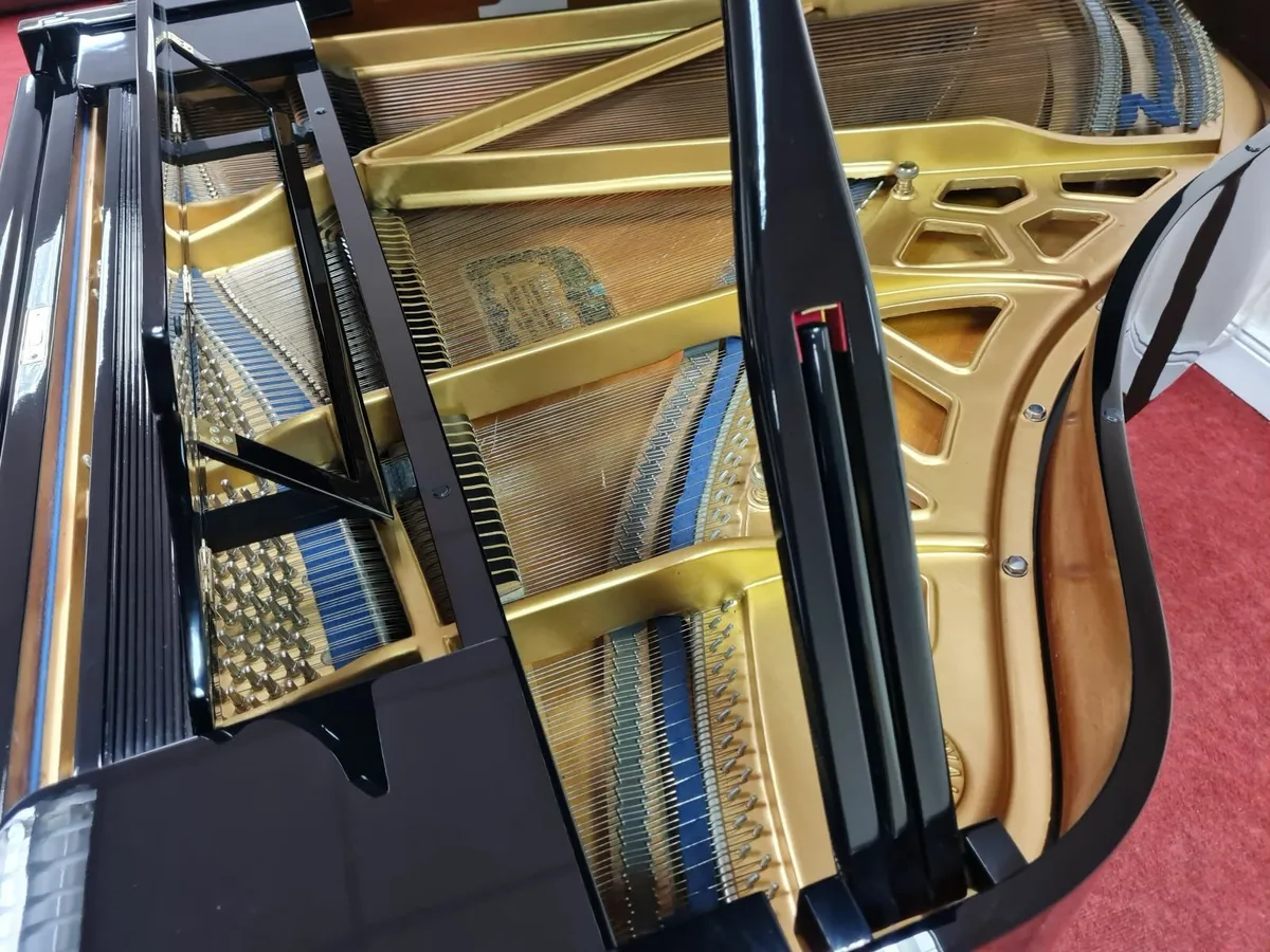 CHRISTMAS MADNESS AT GALWAY PIANO CENTRE - Image 1