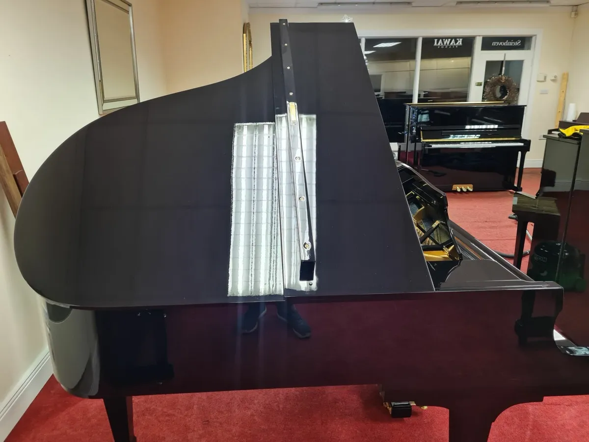 CHRISTMAS MADNESS AT GALWAY PIANO CENTRE - Image 2