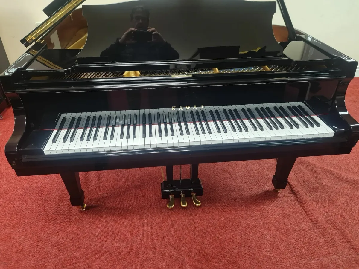 CHRISTMAS MADNESS AT GALWAY PIANO CENTRE - Image 3