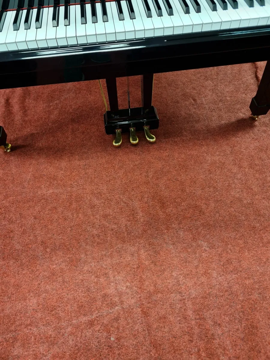 CHRISTMAS MADNESS AT GALWAY PIANO CENTRE - Image 4