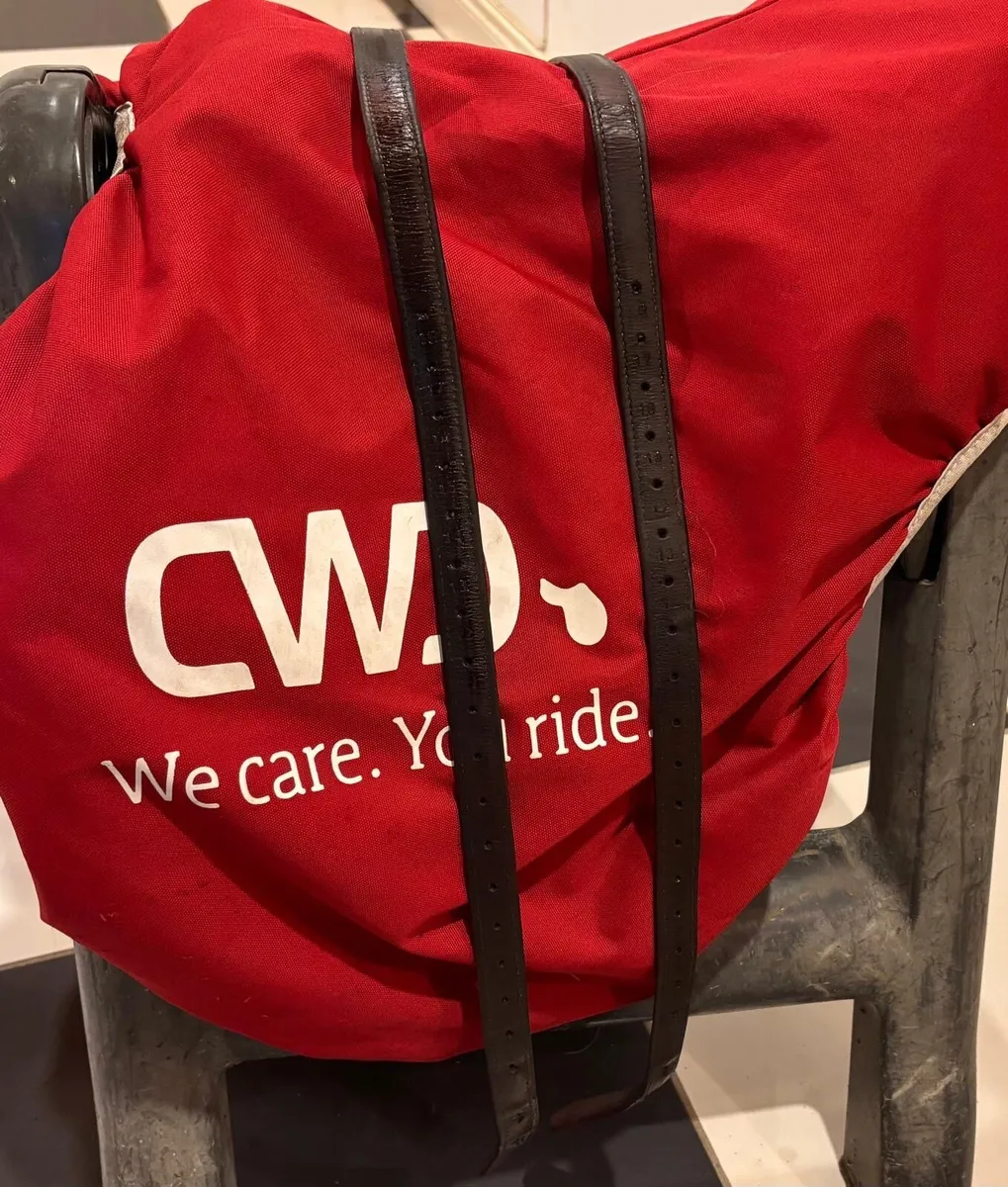 Cwd saddle - Image 2