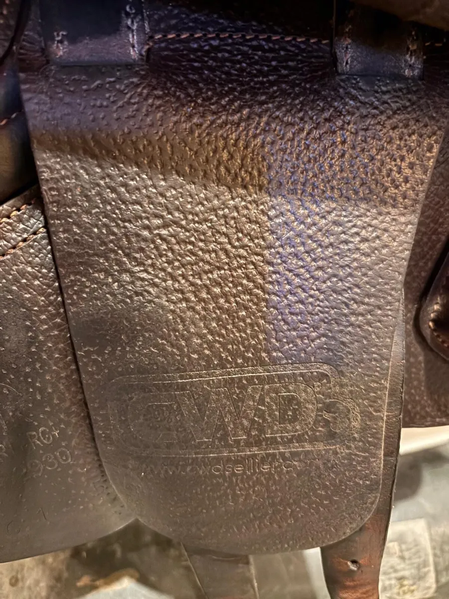 Cwd saddle - Image 4