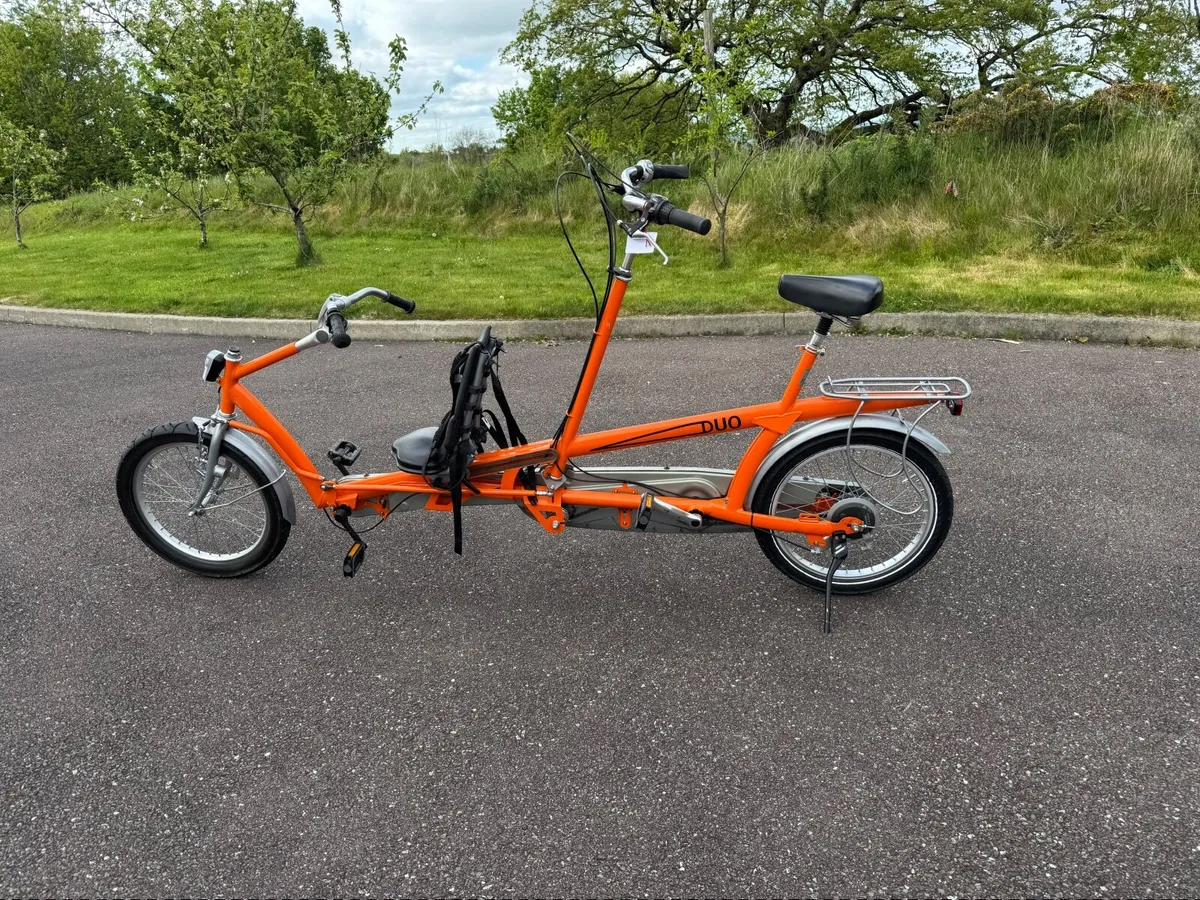 Fabulous Adult & child tandem! - Image 2