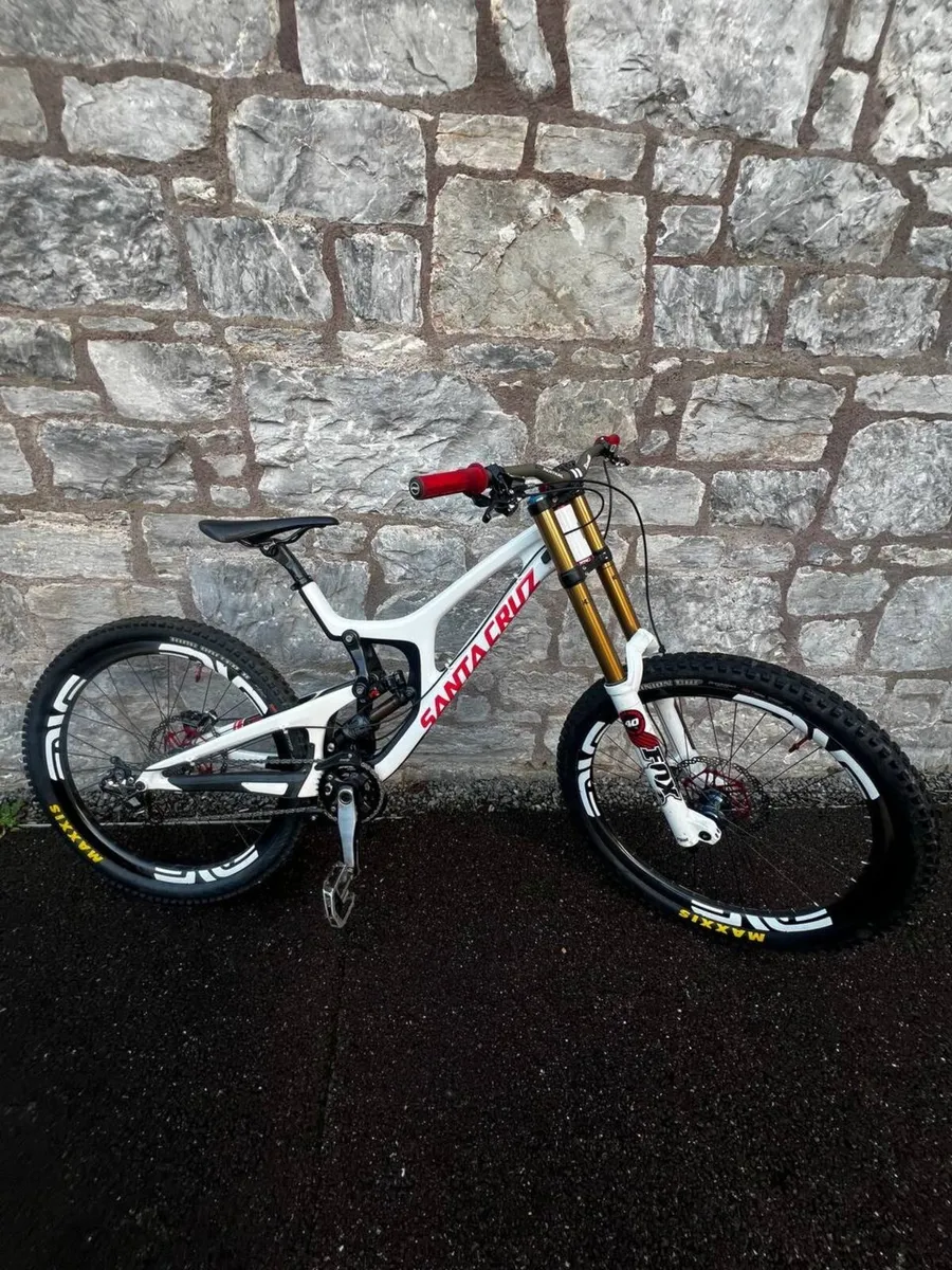 Santa Cruz V10 - Image 1