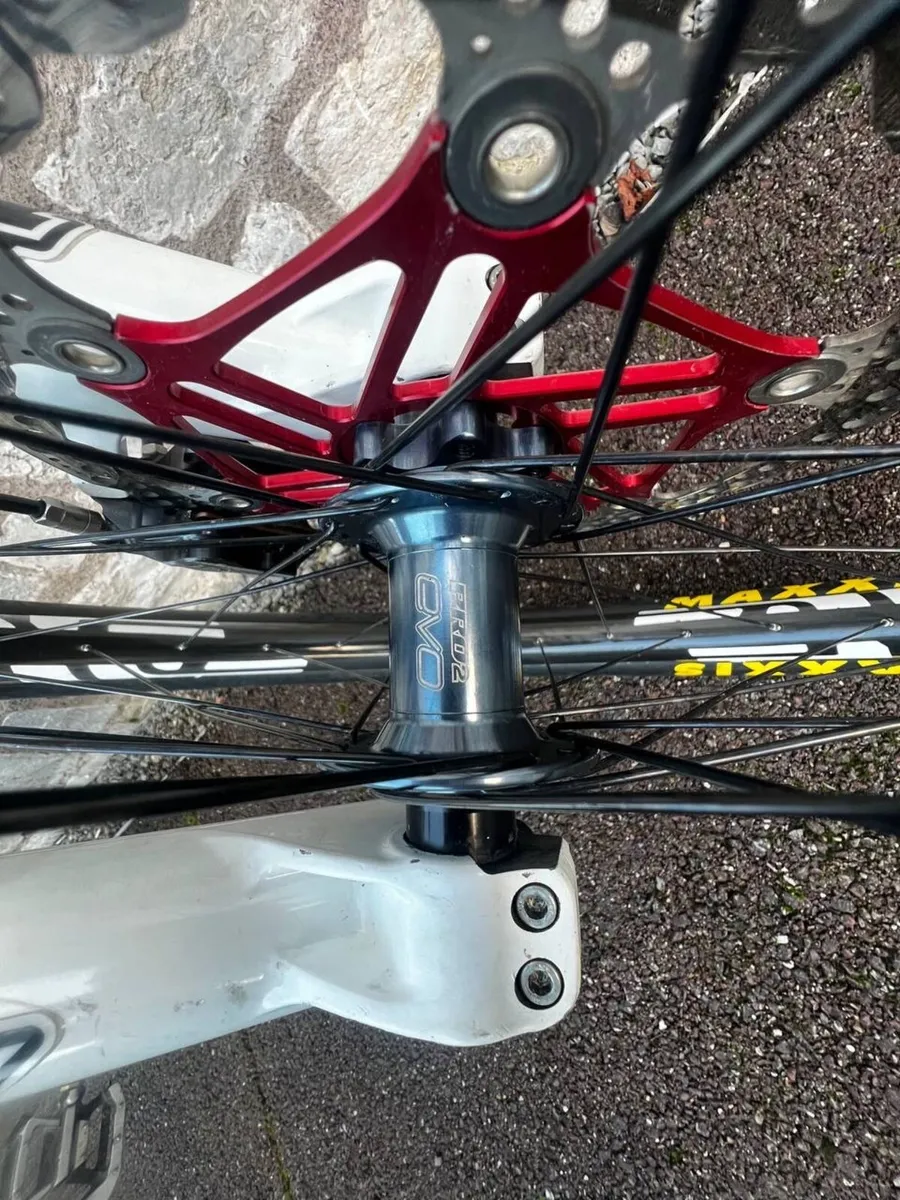 Santa Cruz V10 - Image 4