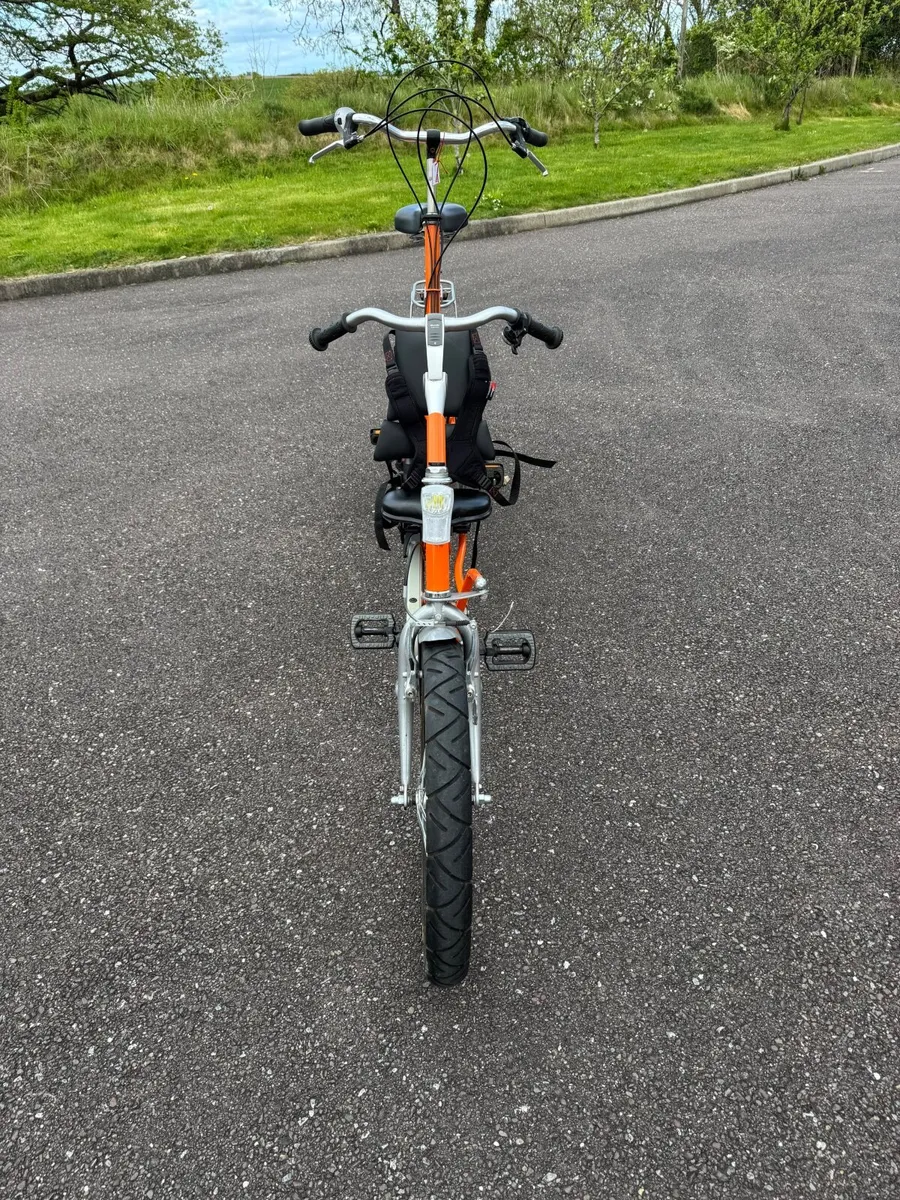 Fabulous adult & child tandem - Image 2