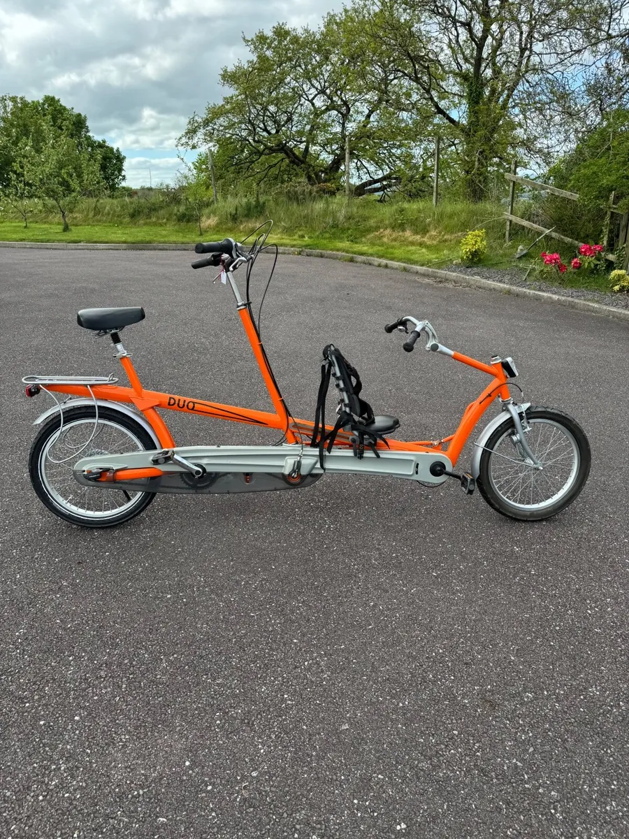 Fabulous adult & child tandem - Image 1