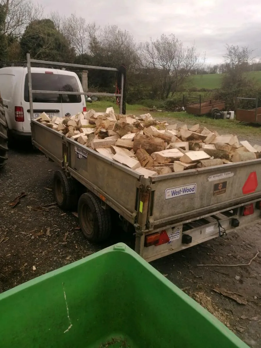 Hardwood firewood - Image 2