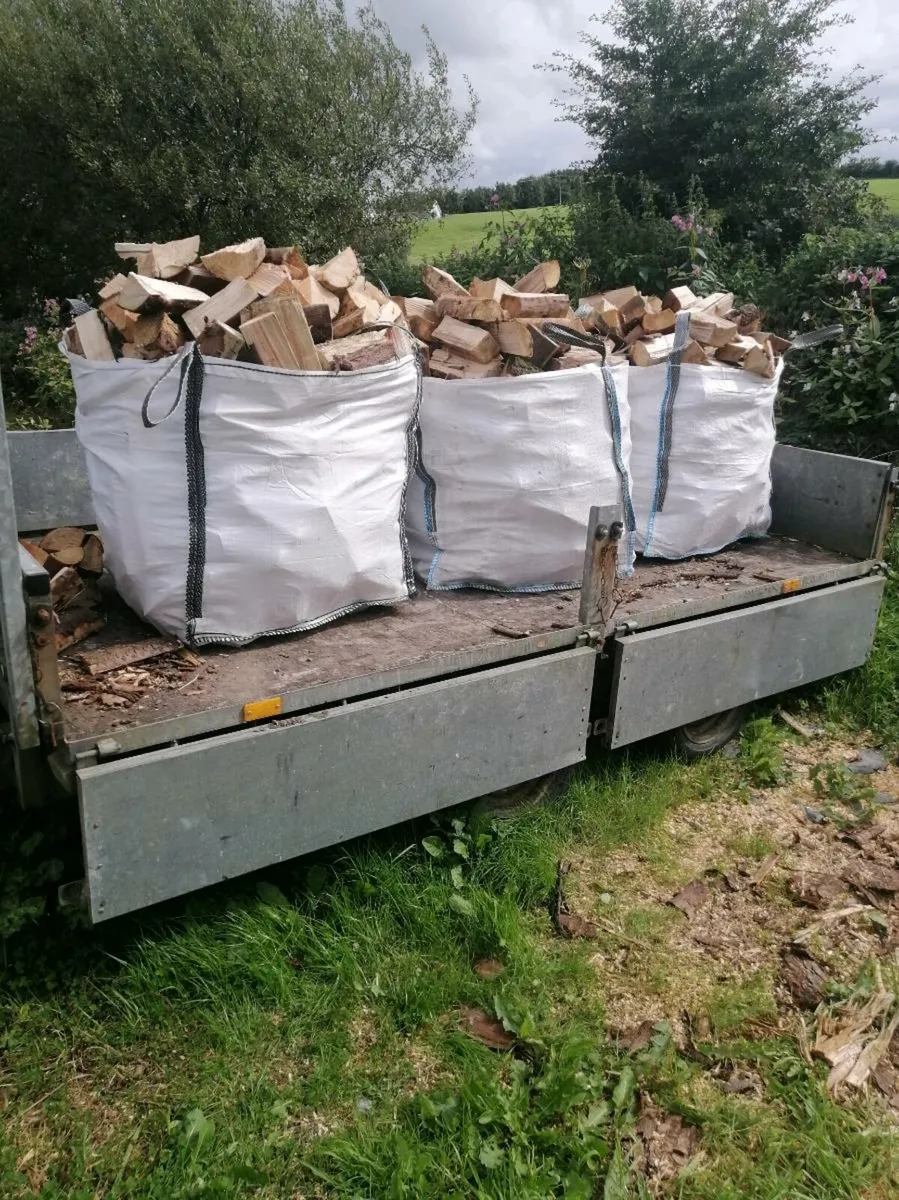 Hardwood firewood - Image 4
