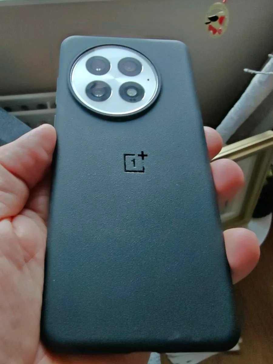 OnePlus 13, 512/16, Artic Dawn,EU phone & Receipt - Image 2