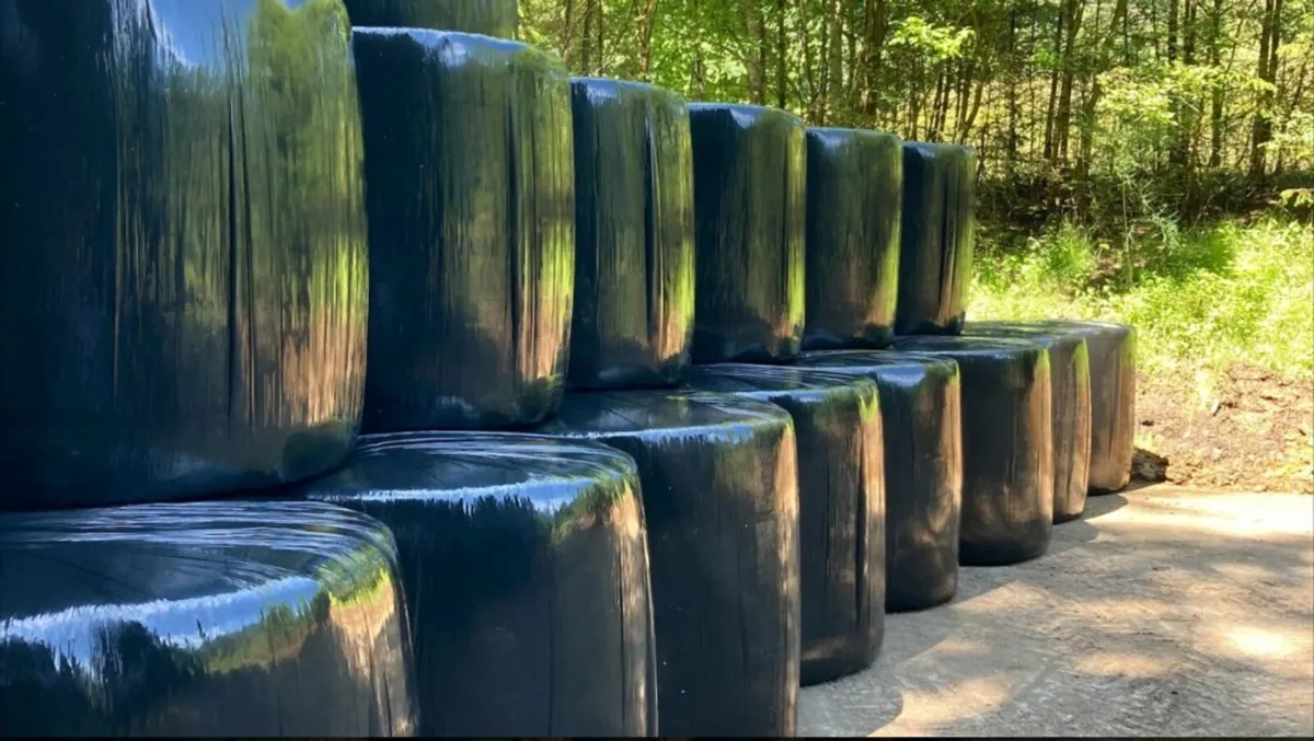 Haylage suitable for horses - Image 1