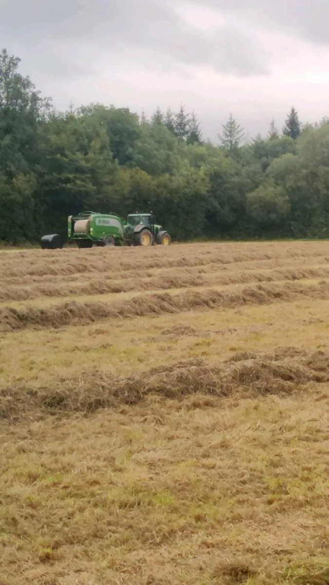 Haylage suitable for horses - Image 2