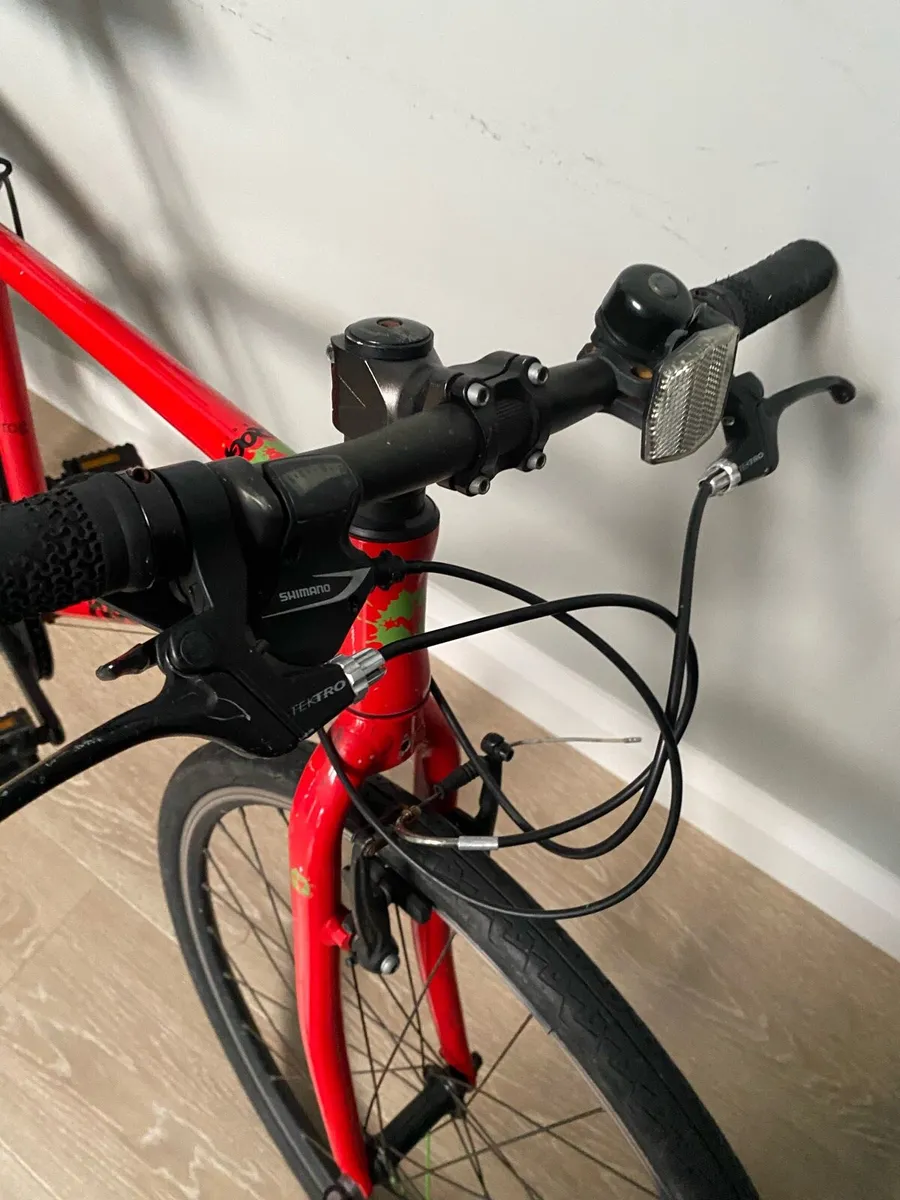 Frog bike 73 - Image 1