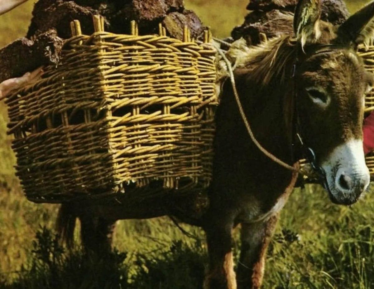 Willow Rods for weaving furniture, borders, basket - Image 4