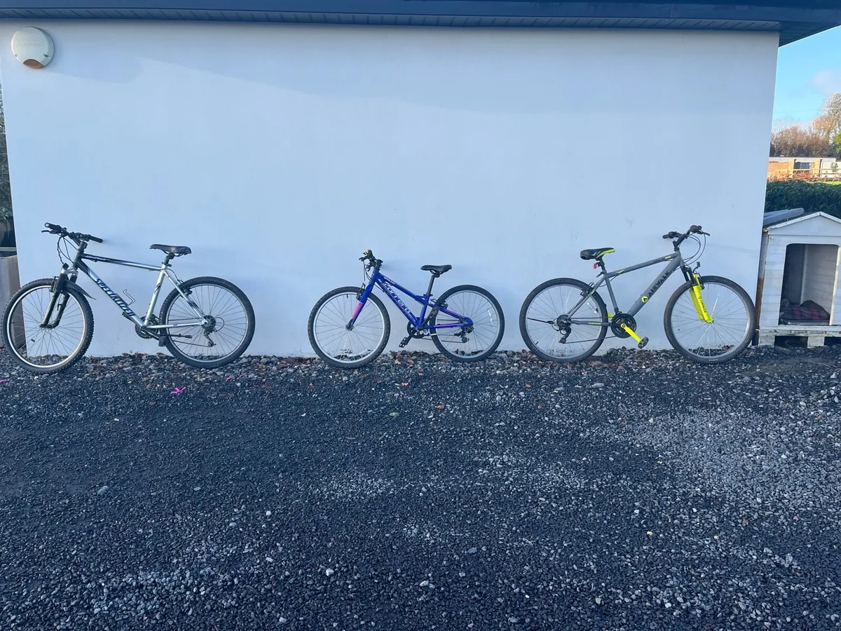 Bikes for sale - Image 1