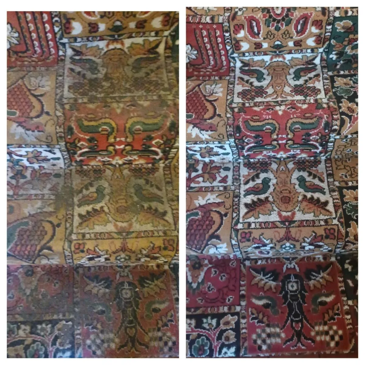 Carpet Cleaning -Upholstery Sofa Cleaners - Image 2