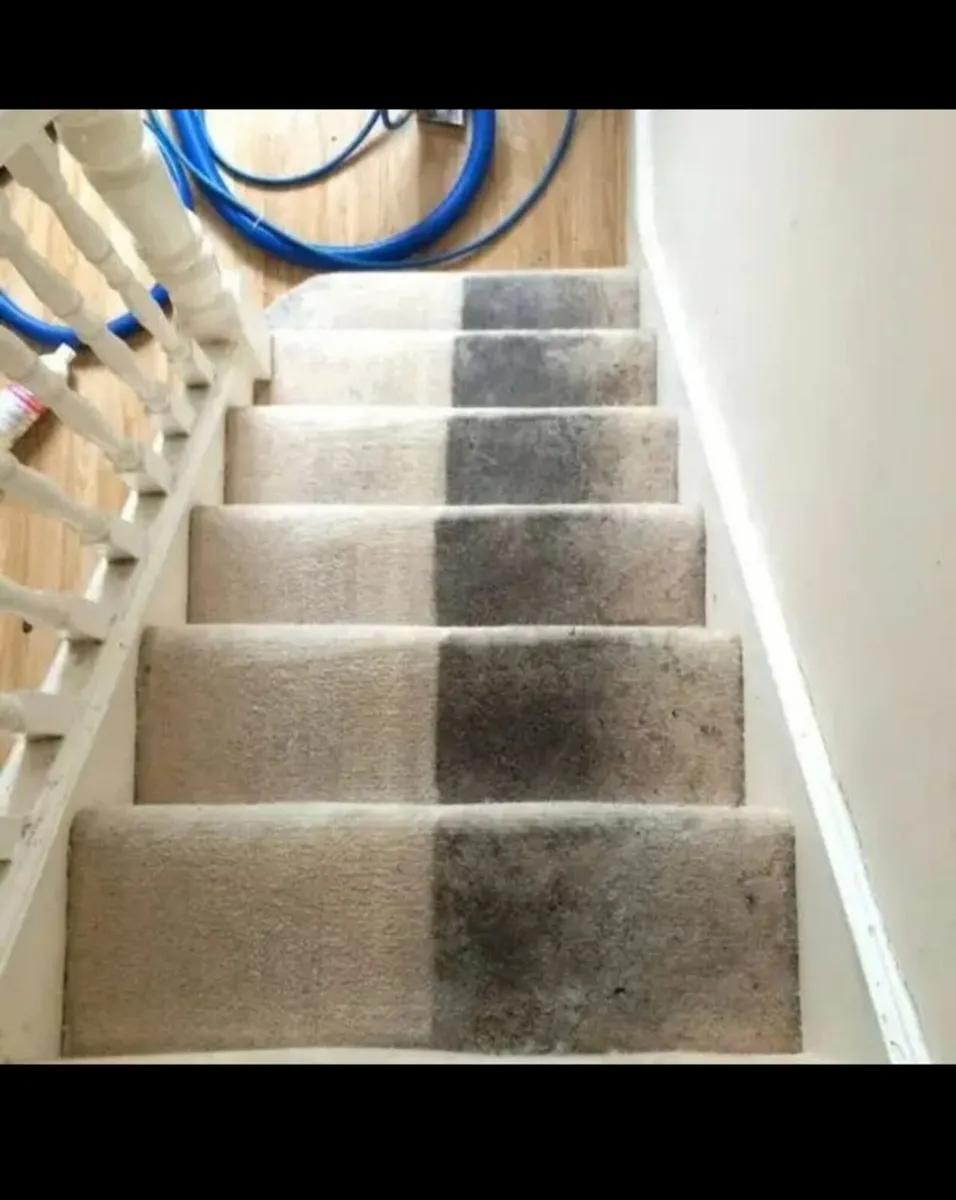 Carpet Cleaning -Upholstery Sofa Cleaners - Image 3