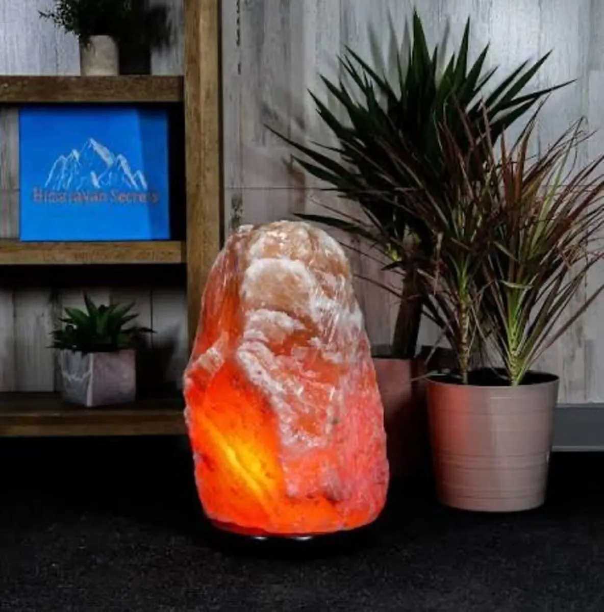 Salt lamp XXL - Image 2
