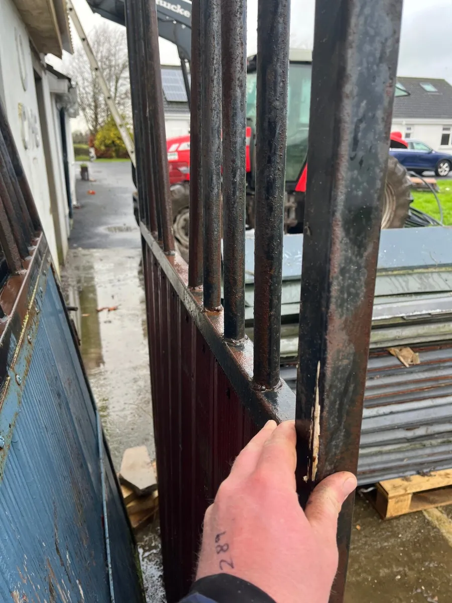 Stable doors - Image 2