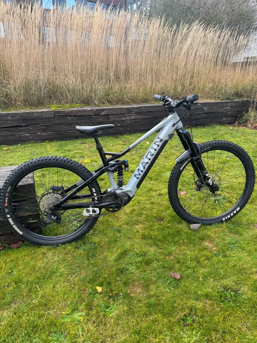 Electric Marine Alphine 2023 - Image 1