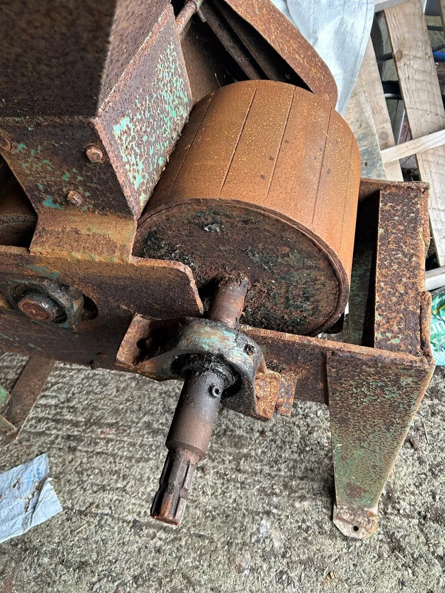 Corn roller - Image 4