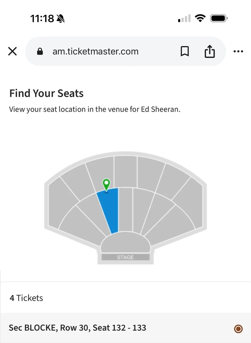 Ed Sheeran Seated - Image 2