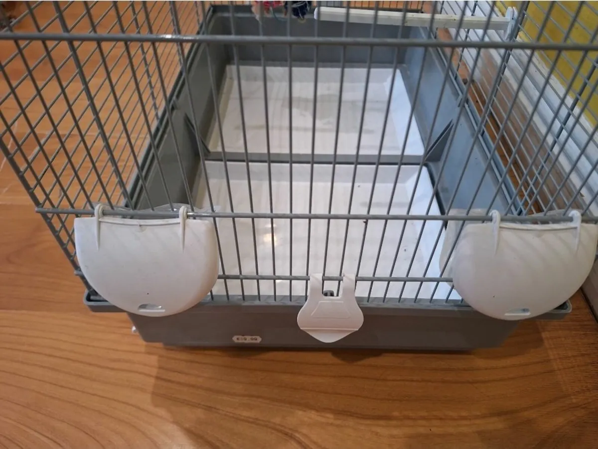 Bird Cage - Image 1