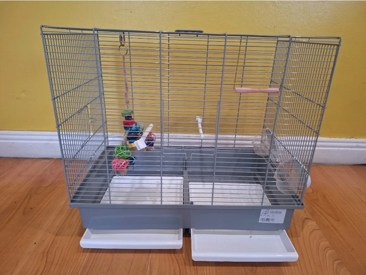Bird Cage - Image 2