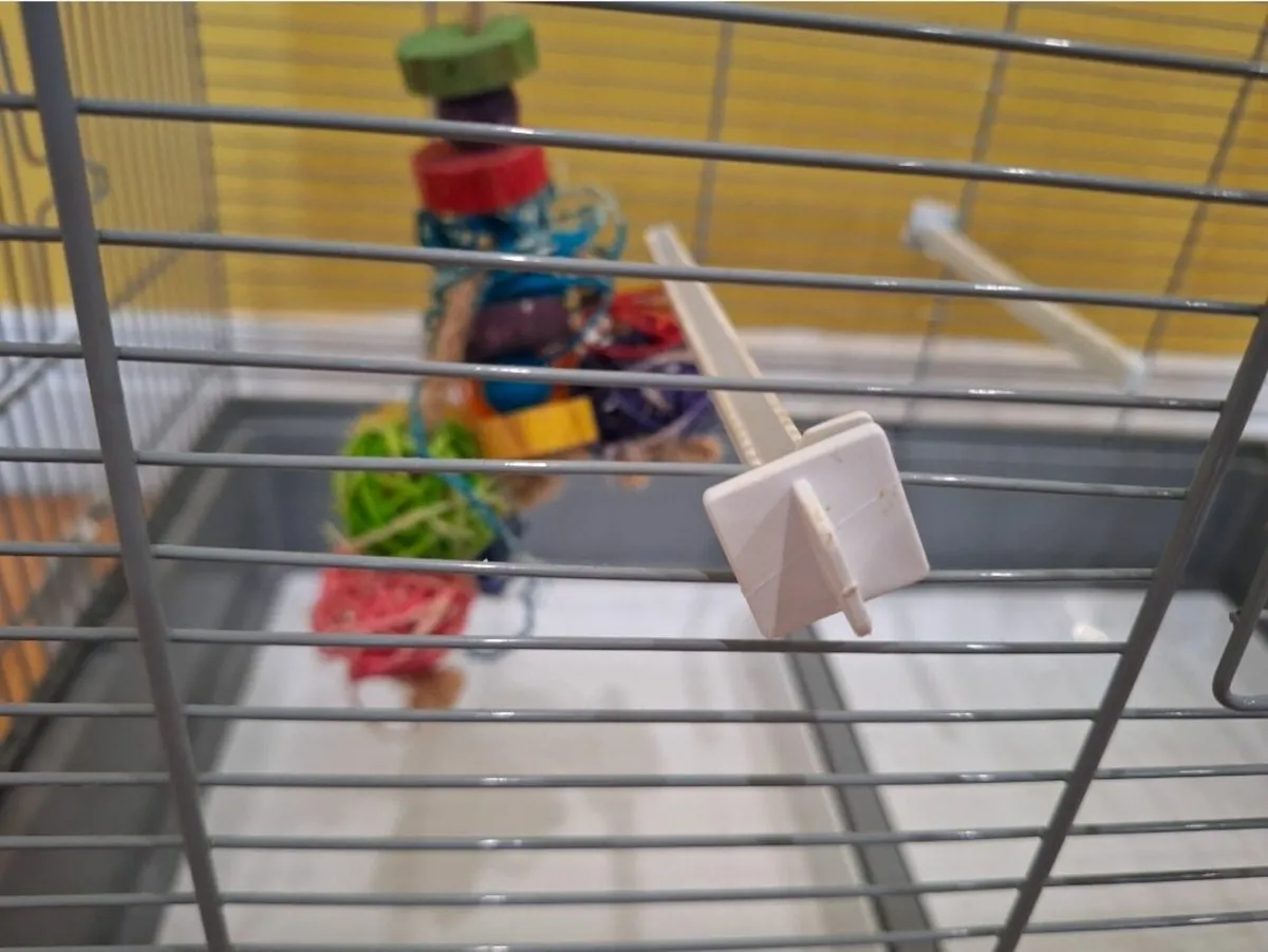 Bird Cage - Image 3