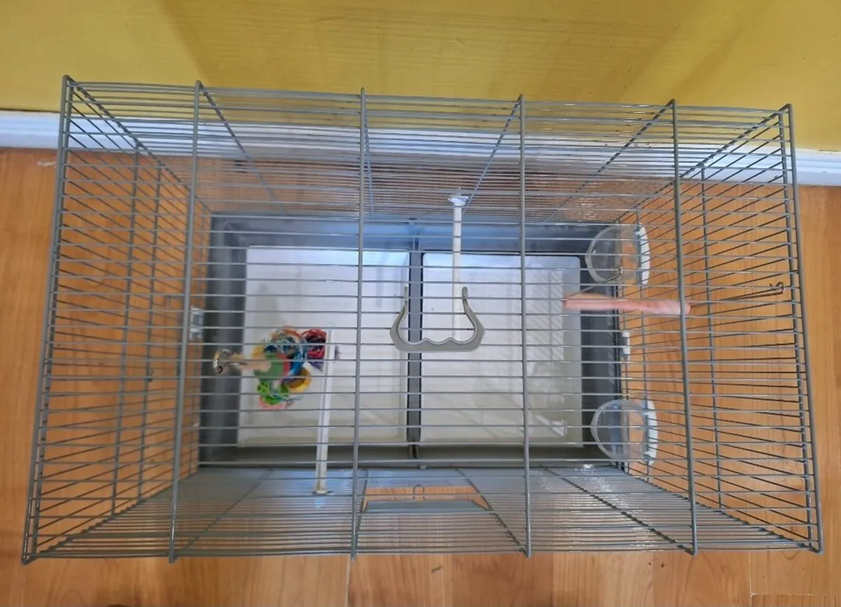 Bird Cage - Image 4