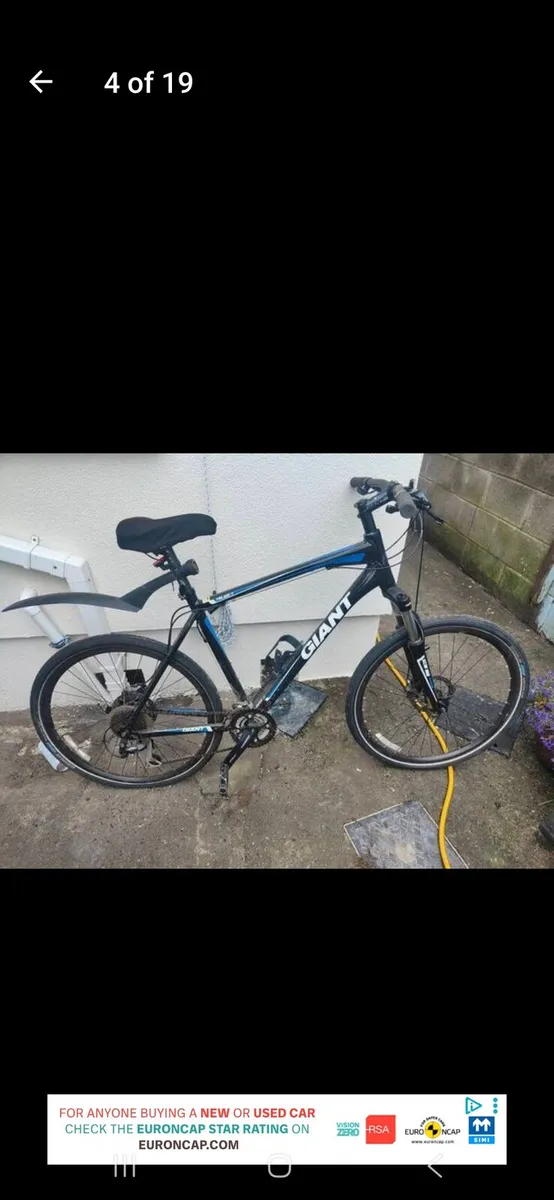 Adult mountain bike
