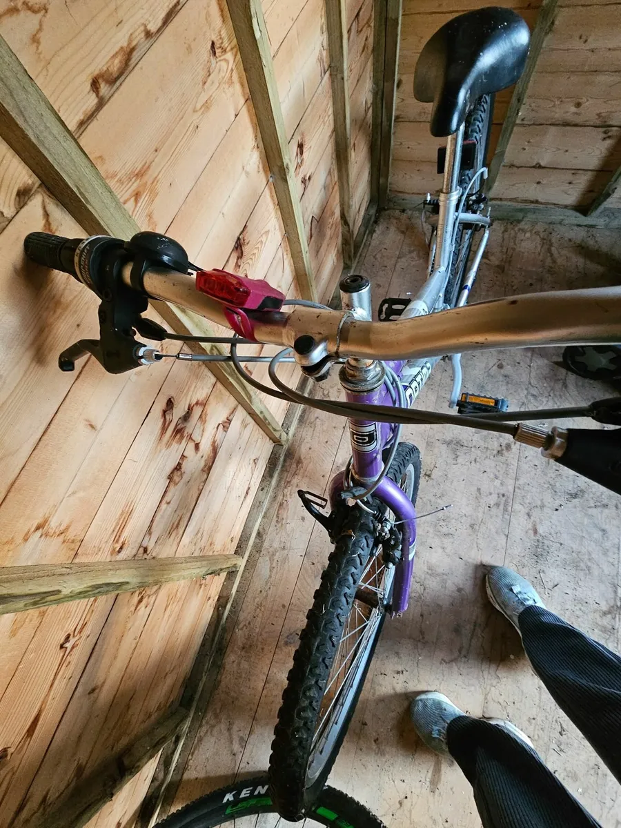 Ladies Bicycle - Image 4