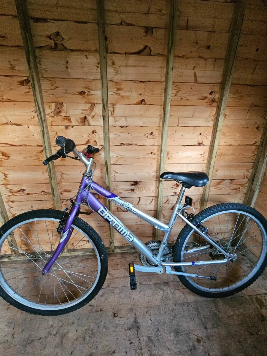 Ladies Bicycle - Image 2