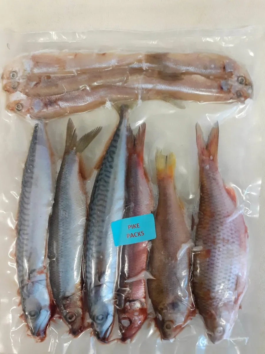 Quality Frozen Bait, Pike Fishing - Image 4