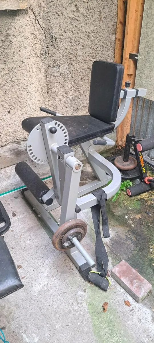 Leg extention machine - Image 2