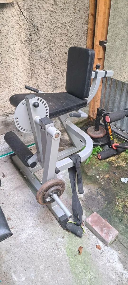 Leg extention machine - Image 4