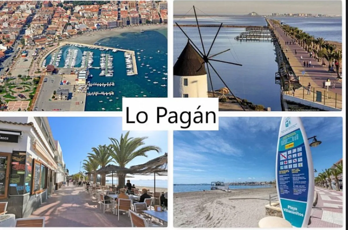 Great deals for month say in peck times July Aug - Image 1