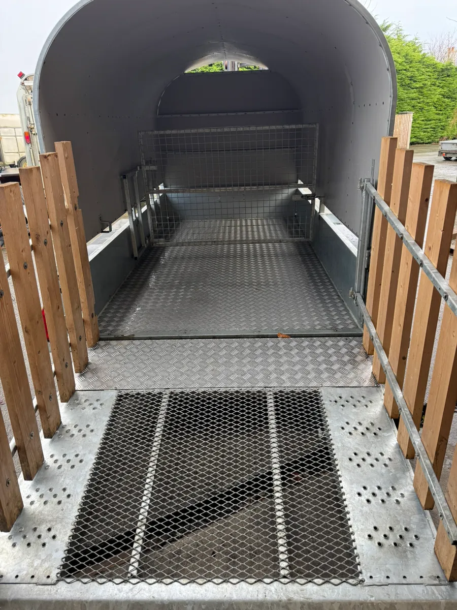 Nugent livestock trailer - Image 4