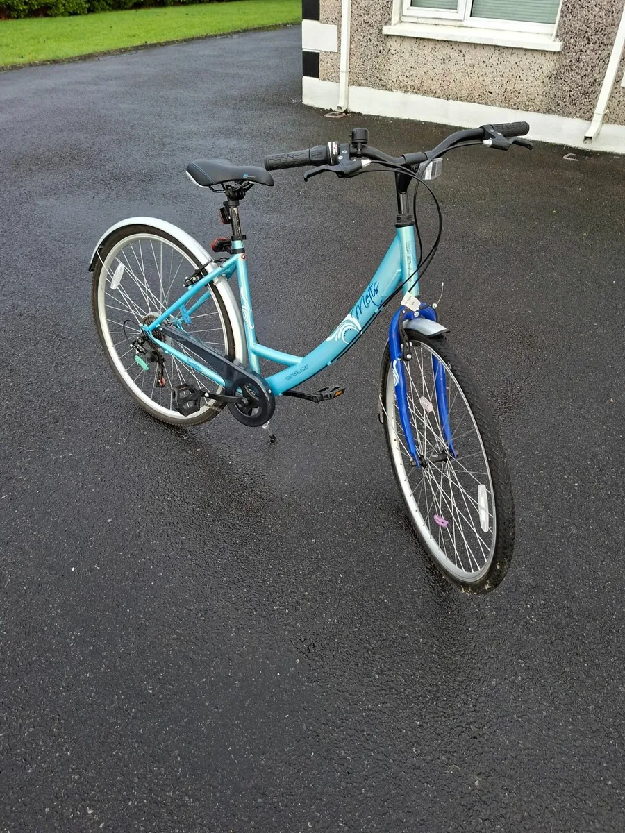 Ladies/Girls Bicycle - Image 1