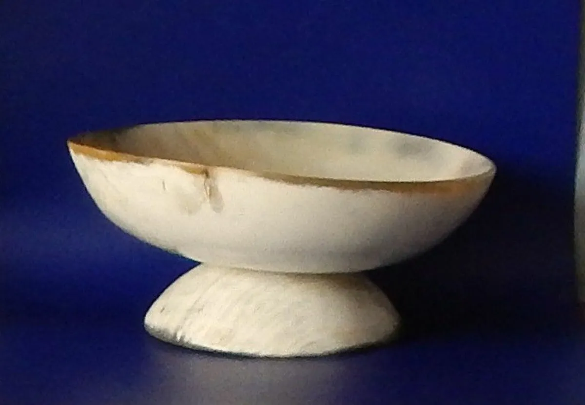 African Ankole Cow Horn Bowl - Image 4