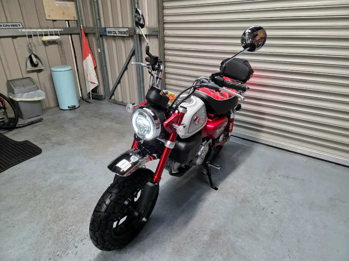 2023 Honda Monkey Z125 - Image 1